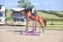 BPP_4438