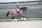 SBM_007079