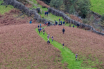 Wasdale Show-83