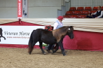 SBM_17425