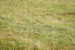 SBM_10225