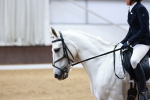 SBM_003014