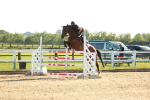 Class 7 - National 1.30m 1.40m Open portfolio
