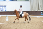 SBM_008161
