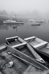Timeless - Perkins Cove