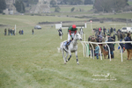 PtP 040323 613