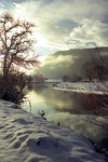 Winters Morn on the River Conwy