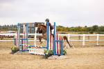 SBM_007447