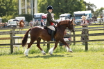 SBM_08473