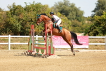 SBM_003093