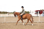 SBM_04258