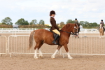SBM_16918
