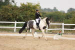 SBM_01577