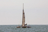 150906 VOODOO SPIRIT 779M WT7A0906_Edit