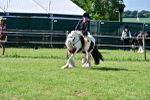 SBM_09412