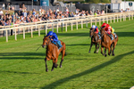 240726-Race 5-Diamond Rain-0535