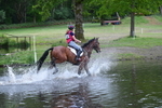 WJ5_5223