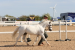 SBM_17677