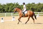 SBM_010254