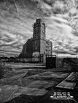 Portfolio 11