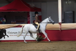 SBM_02116