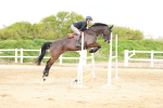 SBM_002624