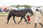SBM_07879