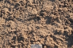 260627-192728-06335