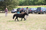 WJ6_7037