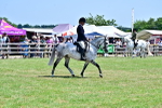 SBM_17417