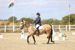 SBM_014484