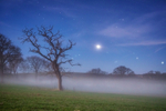 z2982 Venus at Dusk, Ashey
