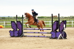 SBM_009096