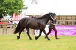 SBM_00456