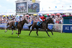 270626-Race 5-My Ballyquinn-5501