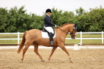 SBM_005366