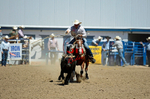 3HRodeo8-11-25_PRCASteer_05489_