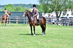 SBM_15417