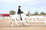 SBM_03281
