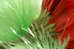 Flowers Set 06 - 13