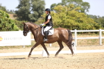SBM_010593