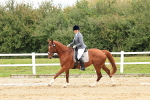 SBM_001342