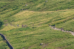 Wasdale-172