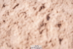 240505A-160936-07124