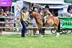 SBM_05836