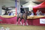 SBM_15914