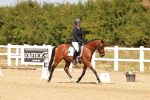 SBM_018495