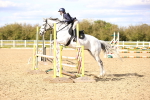 SBM_003571