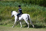 WJ7_3663
