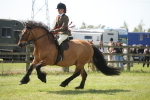 SBM_07711